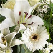 Florist Choice  Hand-Tied